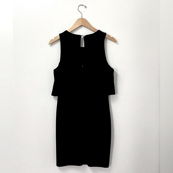 Dynamite Overlay Cocktail Dress 💕 - Picture 4 of 10